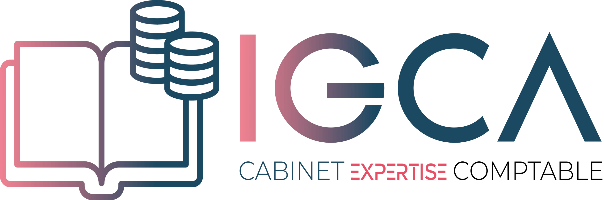 IGCA EXPERTS ET CONSEIL